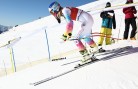 SKI ALPIN - FIS WC Lake Louise, Abfahrt, Training