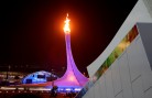 The Olympic flame in Sochi (GEPA/Andreas Pranter)