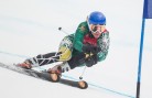 Middlebury-Carnival-2-22-14-50842-XL