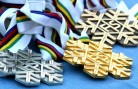 FIS World Championships medals. FIS