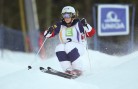 SNOWBOARD, FREESTYLE SKIING - FIS WC 2015
