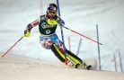ALPINE SKIING - FIS WC Kitzbuehel