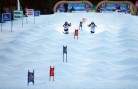 SNOWBOARD, FREESTYLE SKIING - FIS WC 2015