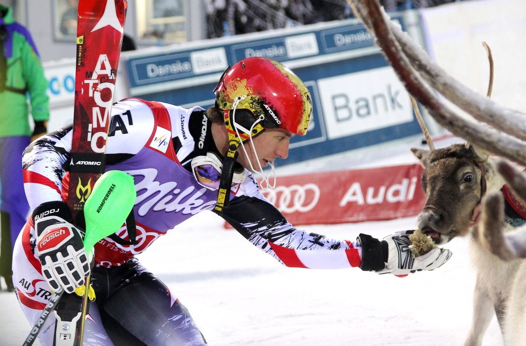 Marcel Hirscher with the reindeer he named after his father, Ferdinand. GEPA