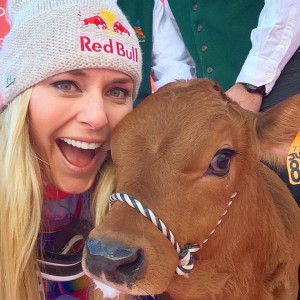 Vonn with her baby cow. Facebook